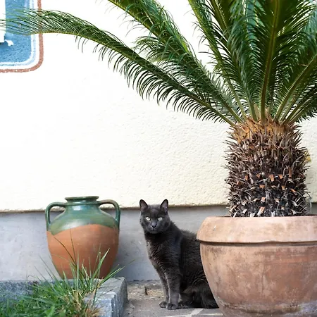 Haus Kaernten 3* دوبرياخ