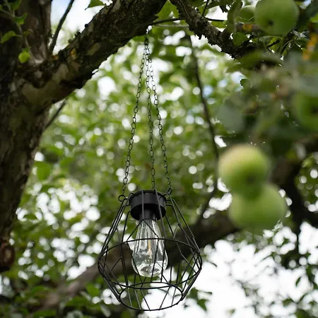 Haus Kaernten 3* دوبرياخ