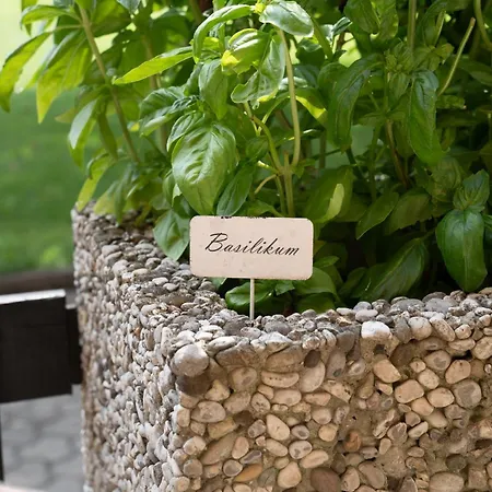 بيت ضيافة Haus Kaernten دوبرياخ