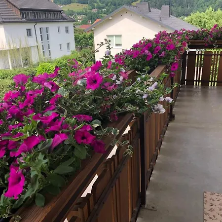 Affittacamere Haus Kaernten 2*