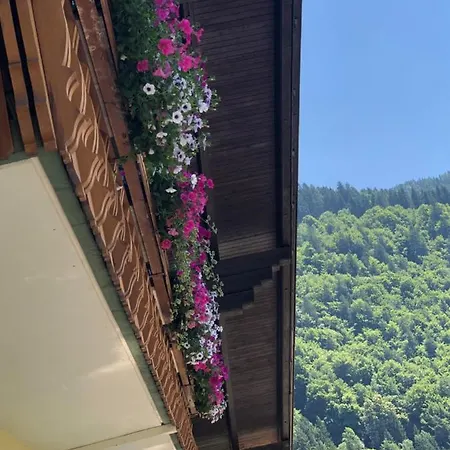 Haus Kaernten Affittacamere Döbriach