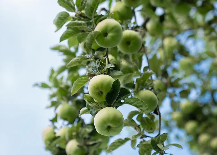 Haus Kaernten Pensjonat Döbriach