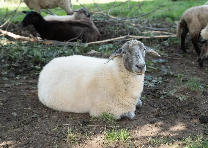 Haus Kaernten Pensjonat Döbriach