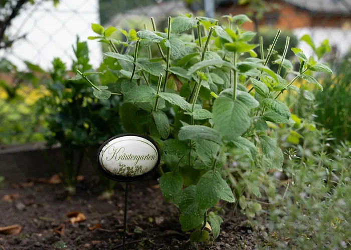 Haus Kaernten Pensjonat 3*