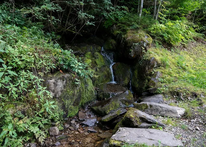 Pensjonat Haus Kaernten 3*